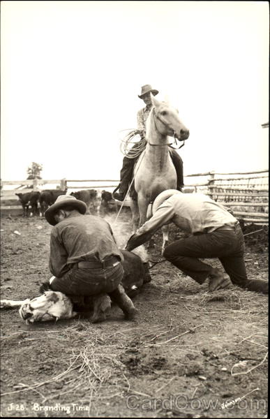 Cowboys Branding Time Cowboy Western