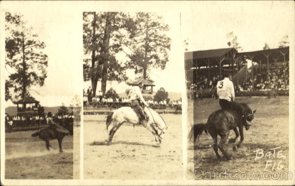 Rodeo Multi View Rodeos