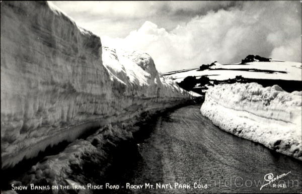 Snow Banks On The Trail Ridge Road, Rocky Mt. National Park Colorado