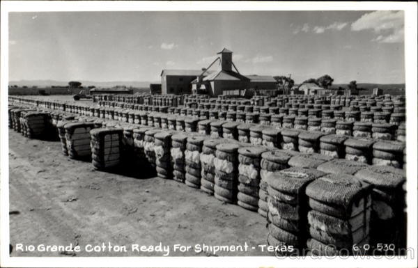 Rio Grande Cotton Ready For Shipment Texas