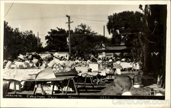 1911 Malihini Christmas Tree Honolulu Hawaii DeVinna