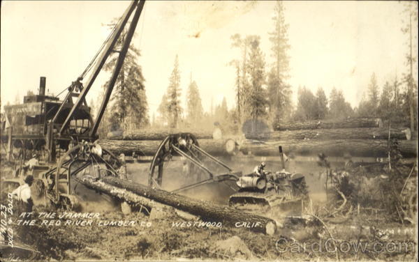 At The Jammer The Reo River Lumber Co Westwood California