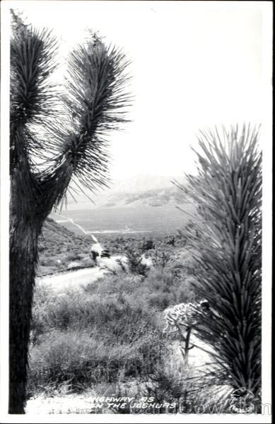 High Way As Seen The Joshuas Cactus & Desert Plants