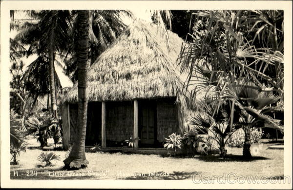 Little Grass Shack Hawaii