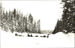 Dog Sled Teams Canada Postcard Postcard