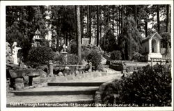 Path Through Ave Maria Grotto, St. Bernard College Saint Bernard, AL Postcard Postcard