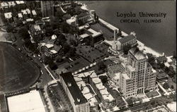 Loyola University Postcard