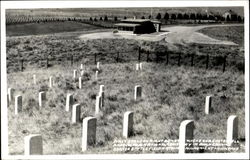 First Stone On Right Denotes Where Gun Custer Fell Postcard