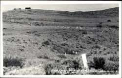 Where F And I Companies Were Annihilated Custer, MT Postcard Postcard