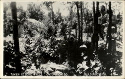 Taken At Bond Falls Ontonagon Co Postcard
