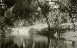 Water Scene Postcard