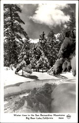 Winter Time In The San Bernardino Mountains Postcard