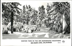 Winter Time In The San Bernardino Mountains Postcard