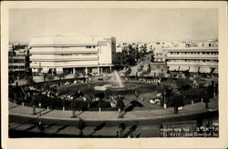 Zina Dizengoff Sq. Postcard