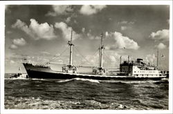 M. S. Jason M. S Solon Netherlands Postcard