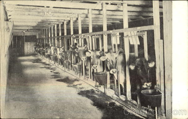 Wauwinet Farm, Commonwealth Avenue West Newton Massachusetts