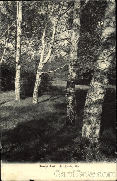 Forest Park St. Louis Missouri