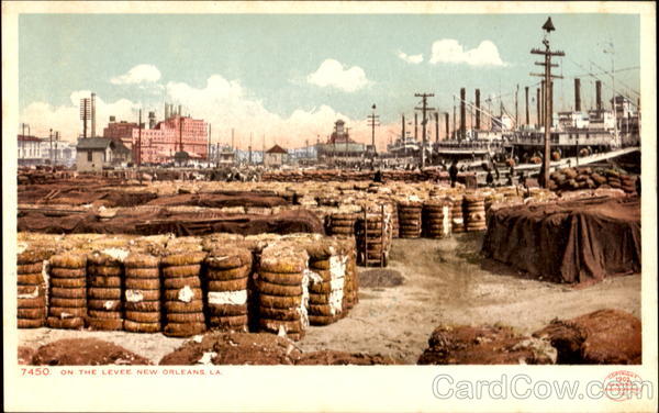 On The Levee New Orleans Louisiana