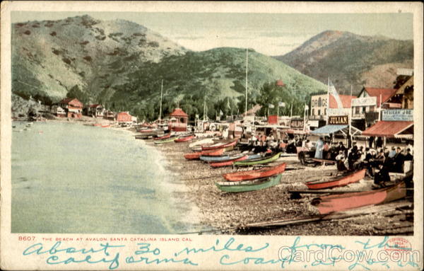 The Beach At Avalon Santa Catalina Island California