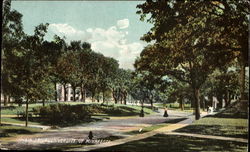 Main Drive, University of Minnesota Postcard