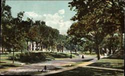 Main Drive, University of Minnesota Minneapolis, MN Postcard Postcard