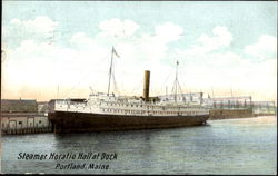 Steamer Horatio Hall At Dock Postcard