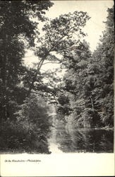 On The Wissahickon Postcard