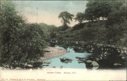 Indian Creek Aurora, IL Postcard Postcard