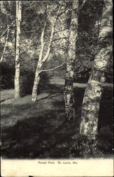 Stock #117246 Thumbnail