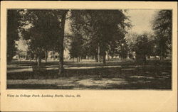 View In College Park Galva, IL Postcard Postcard