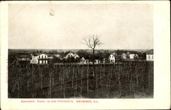 Geneseo Park In The Fiftieth's Postcard