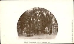 Knox College Galesburg, IL Postcard Postcard