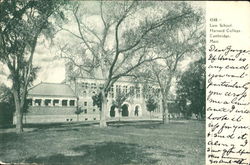 Law School, Harvard College Postcard