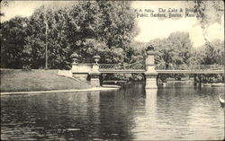 The Lake & Bridge, Public Garden Postcard