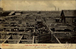 Cattle Pens And Alley U. S. Yards Postcard