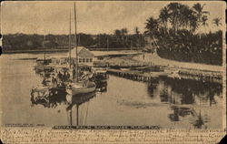 Royal Palm Boat House Postcard