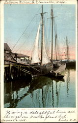 A Cape Ann Fishing Schooner Postcard