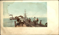 Fishing On Tampa Pier Postcard