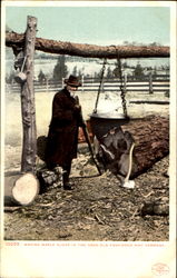 Making Maple Sugar In The Good Old Fashioned Way Postcard