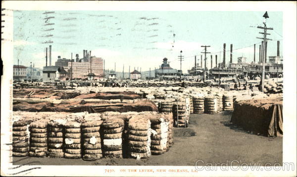 On The Levee New Orleans Louisiana