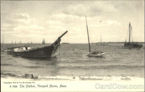 The Harbor Vineyard Haven Massachusetts