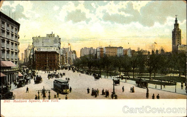Madison Square New York