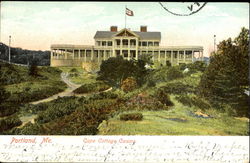 Cape Cottage Casing Postcard