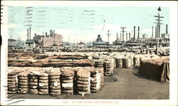 On The Levee Postcard