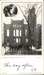 Springfield City Hall After The Fire Postcard