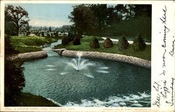 A Vista In Forest Park Postcard