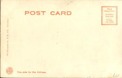 back