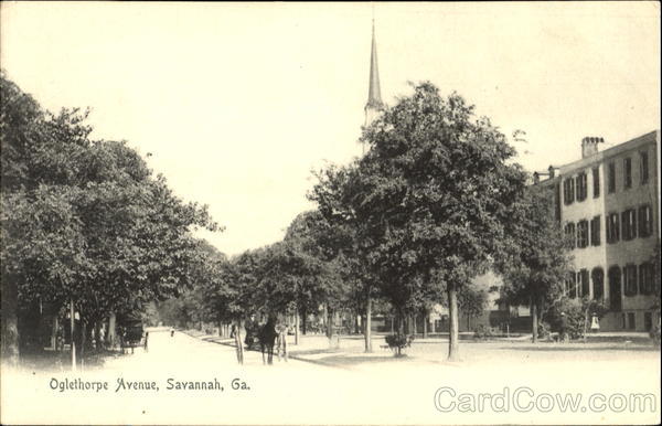 Oglethorpe Avenue Savannah Georgia