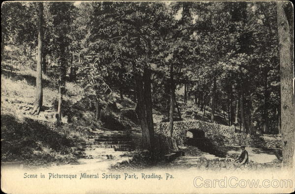 Ford mineral pennsylvania springs #7