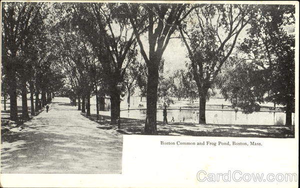 Boston Common And Frog Pond Massachusetts